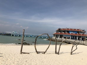 一个人的碧海蓝天 十二月初的三亚行